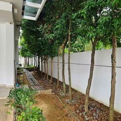 Bedok Pesari (D16), Semi-Detached #503193671